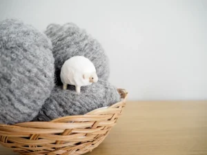 ゼニア生地が選ばれる理由は？良いウールの特徴と魅力を徹底解説